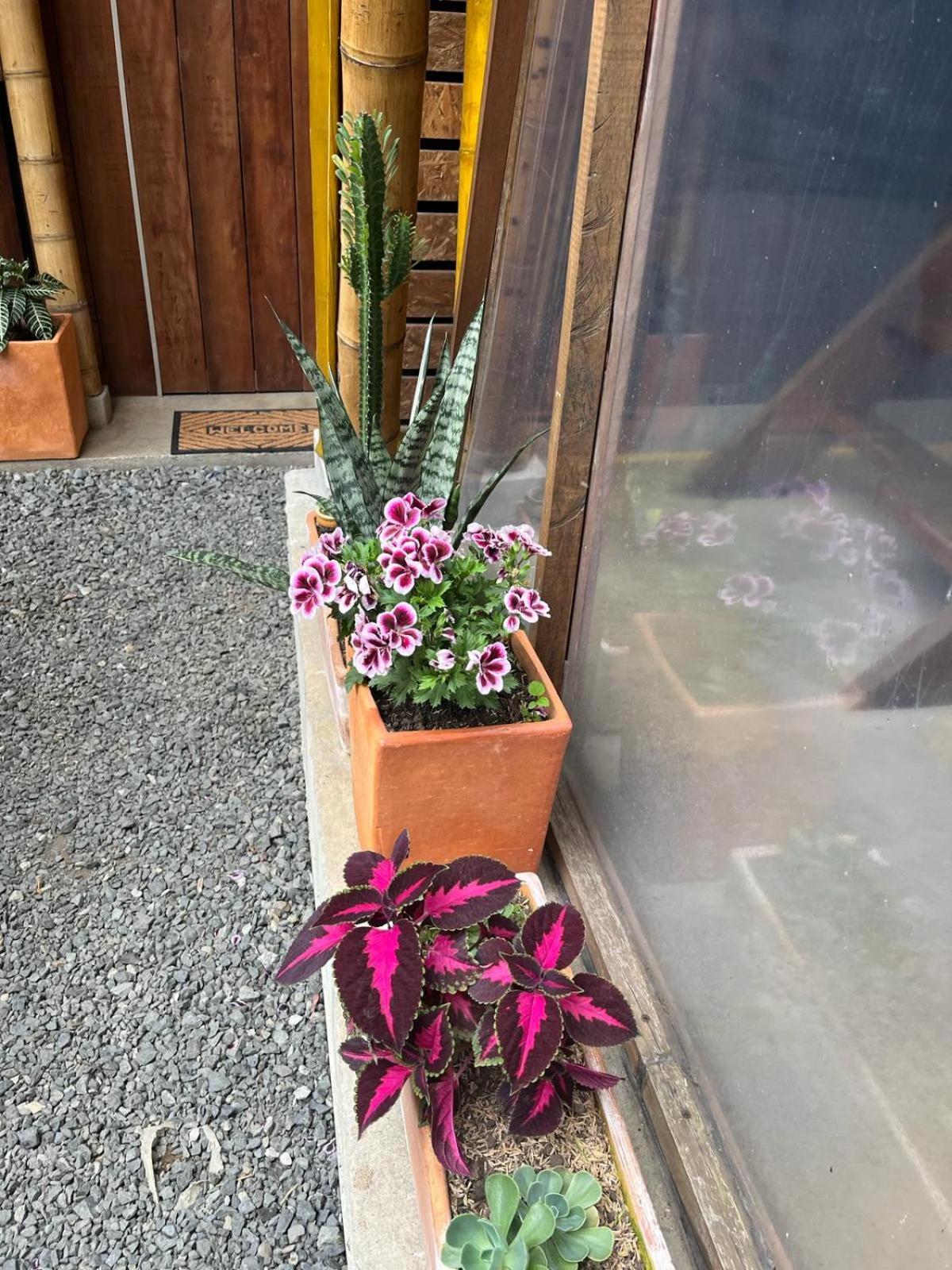 サレント Casa Mochilaホステル エクステリア 写真